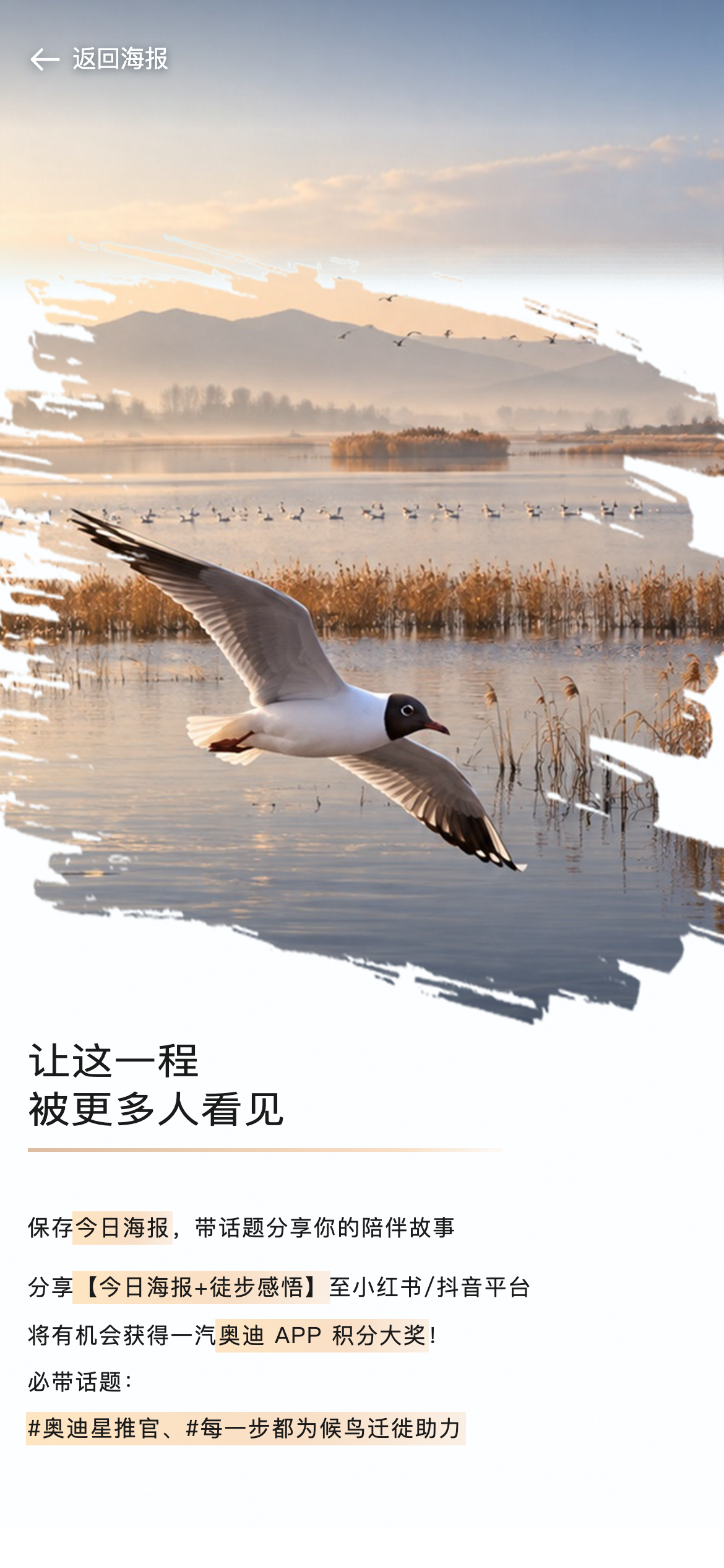 让这一程，被更多人看见。保存今日海报，带话题分享你的陪伴故事。分享【今日海报+徒步感悟】至小红书/抖音平台。将有机会获得一汽奥迪 APP 积分大奖！必带话题：#奥迪星推官、#每一步都为候鸟迁徙助力
